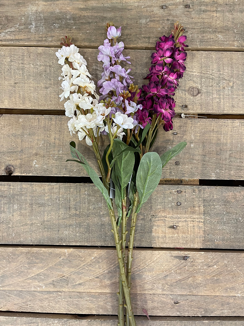 DELPHINIUM SPRAY FLEMISH 75CM. 3PZ.ASS.