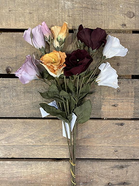 LISIANTHUS AUT.ROYAL VELV.X3 54CM. 4PZ.ASS.