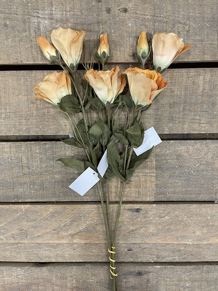LISIANTHUS ROYAL VELV. X3 54CM. 3PZ. MUSTARD