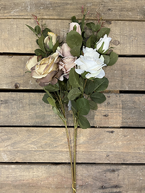 OPEN ROSE AUTUMN X3 77CM. 3PZ. SAND COMB.