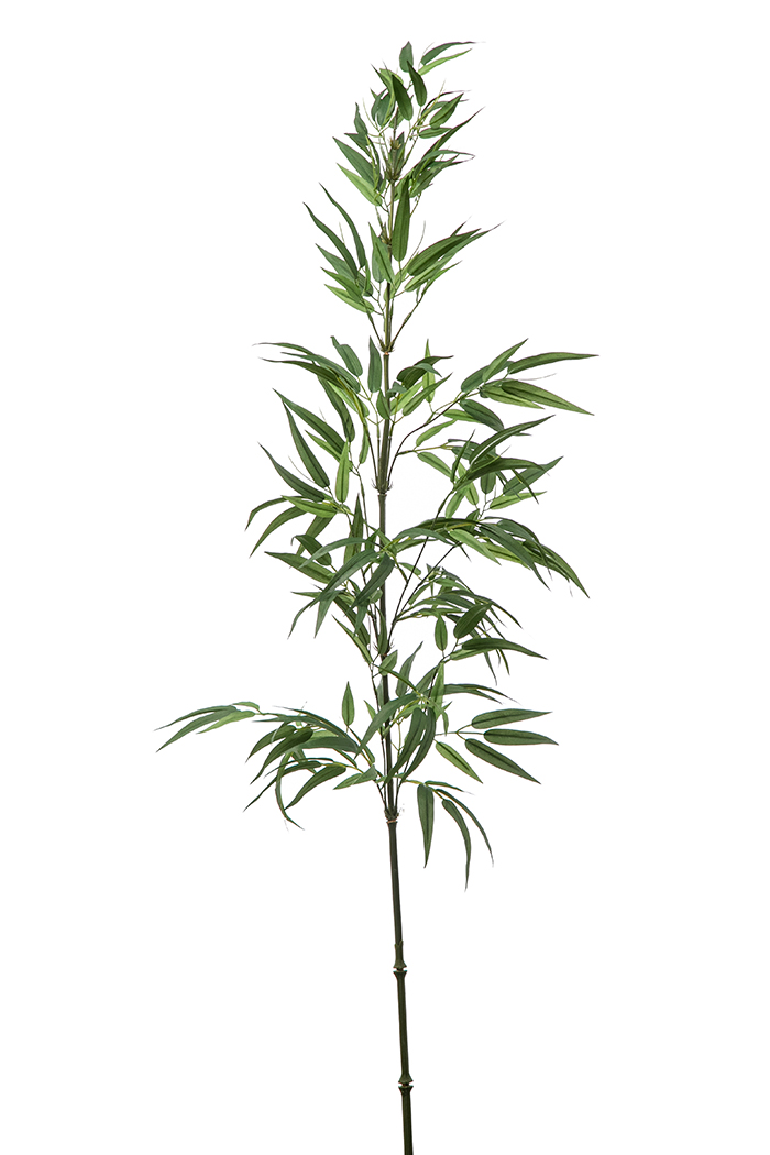 RAMO BAMBOO 140CM.