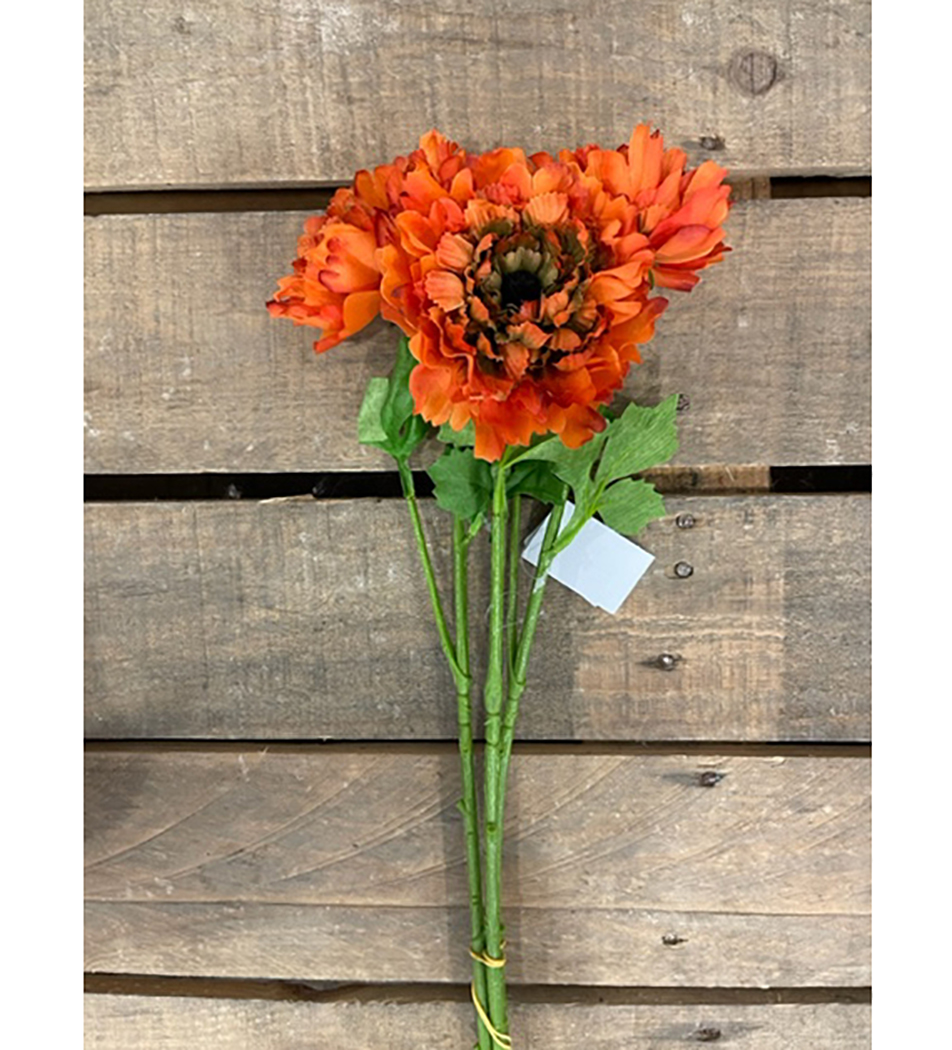 RANUNCULUS SPRAY  3PZ ARANCIO