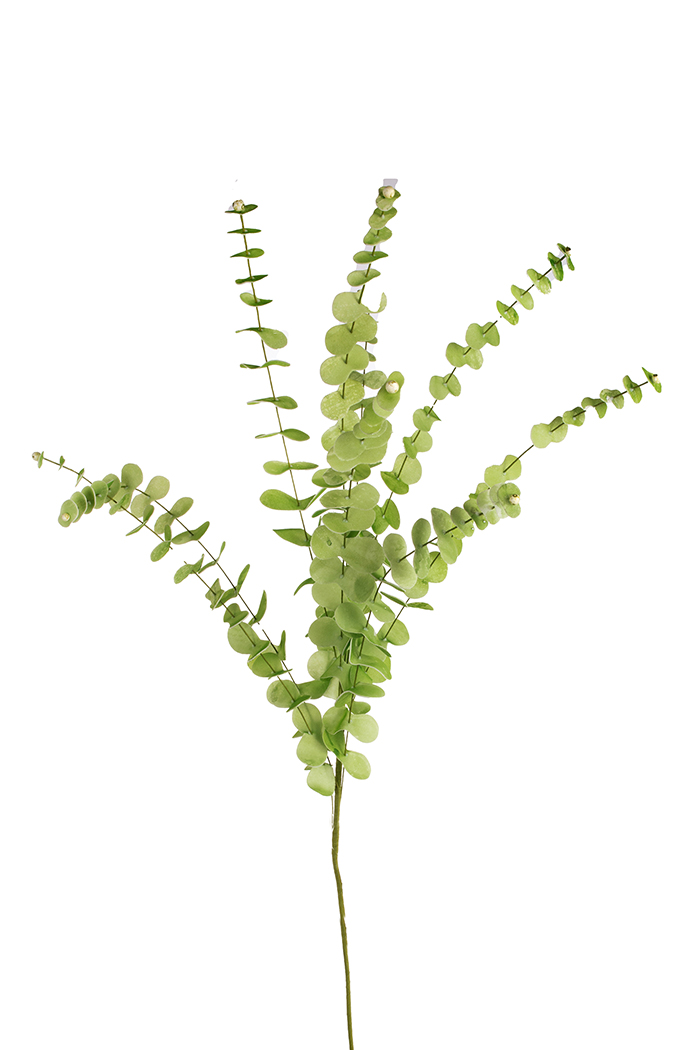 EUCALIPTUS POLY 100CM. VERDE