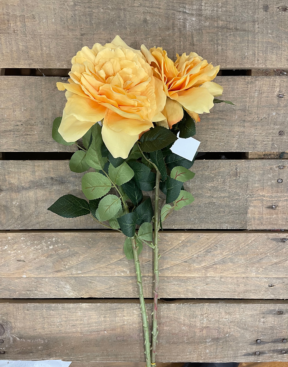ROSA SINGOLA APERTA 77CM. 2PZ. GIALLO SC.