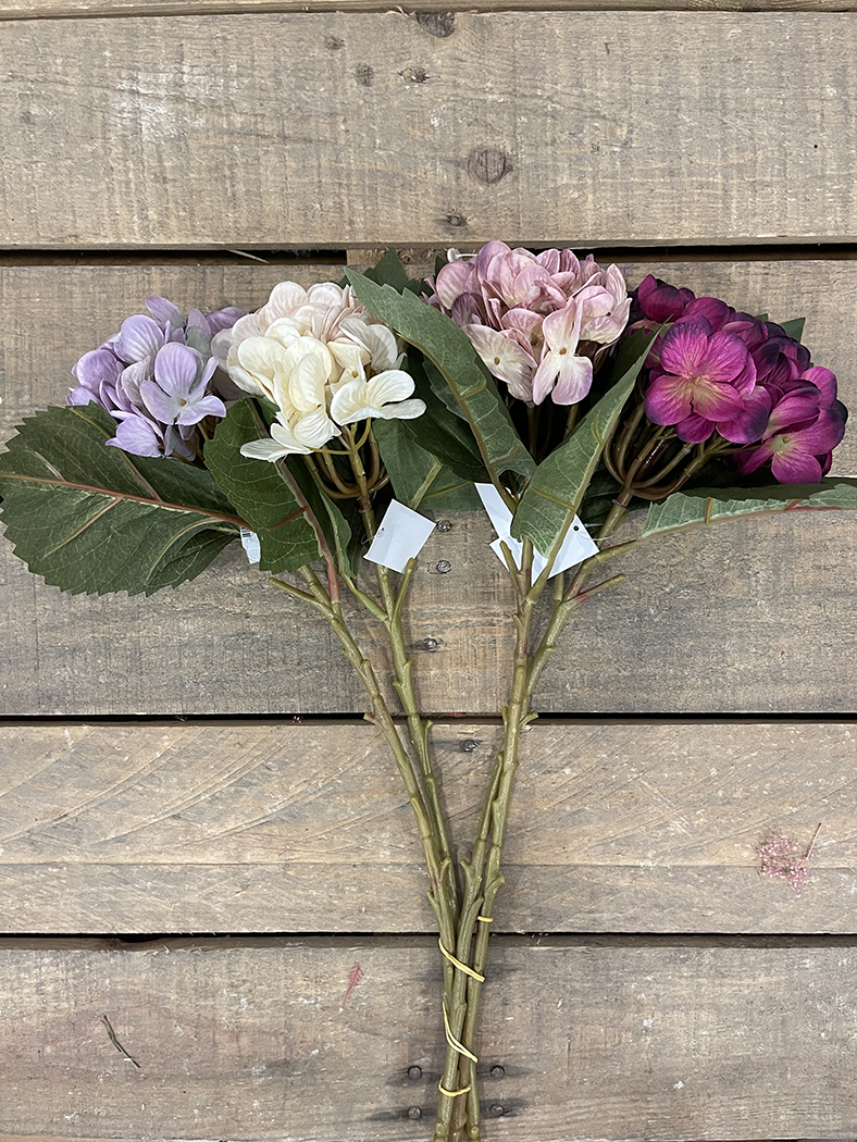 HYDRANGEA AUTUMN 53CM. 4PZ.ASS.