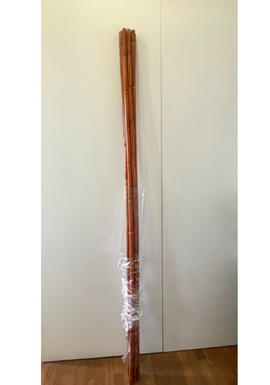 CANNA H2MT. 7PZ. COGNAC