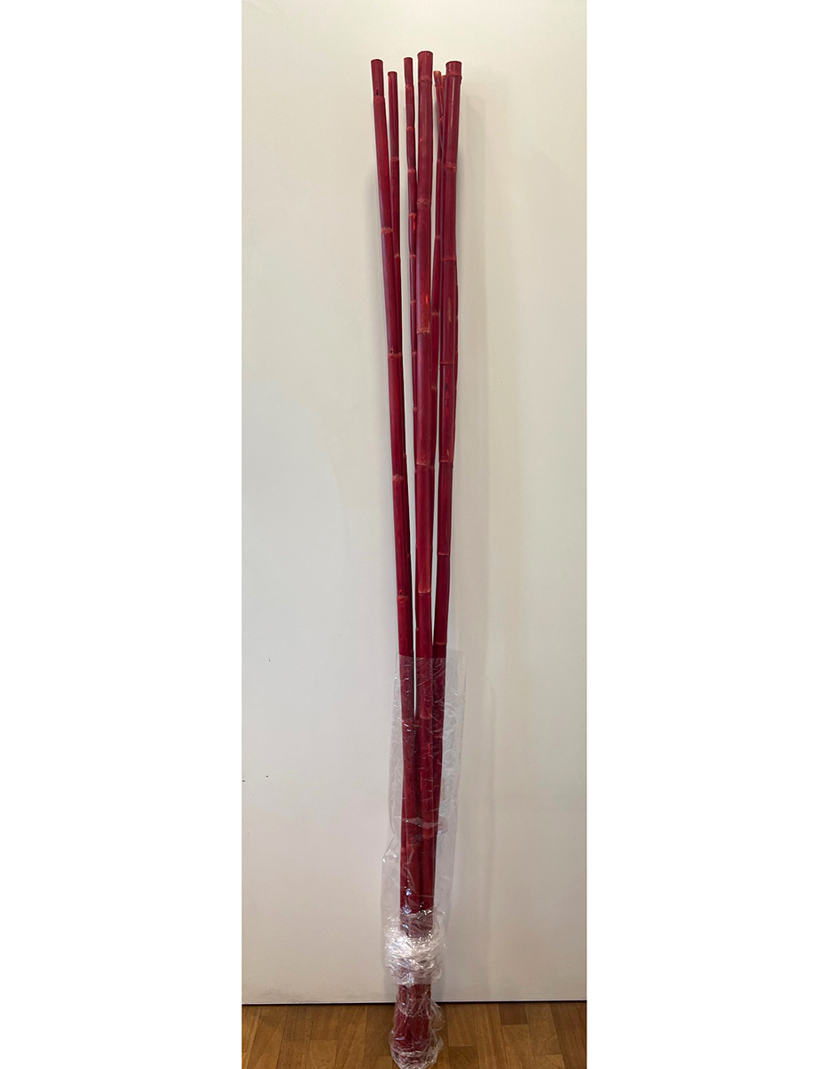 CANNA H2MT. 7PZ. ROSSO