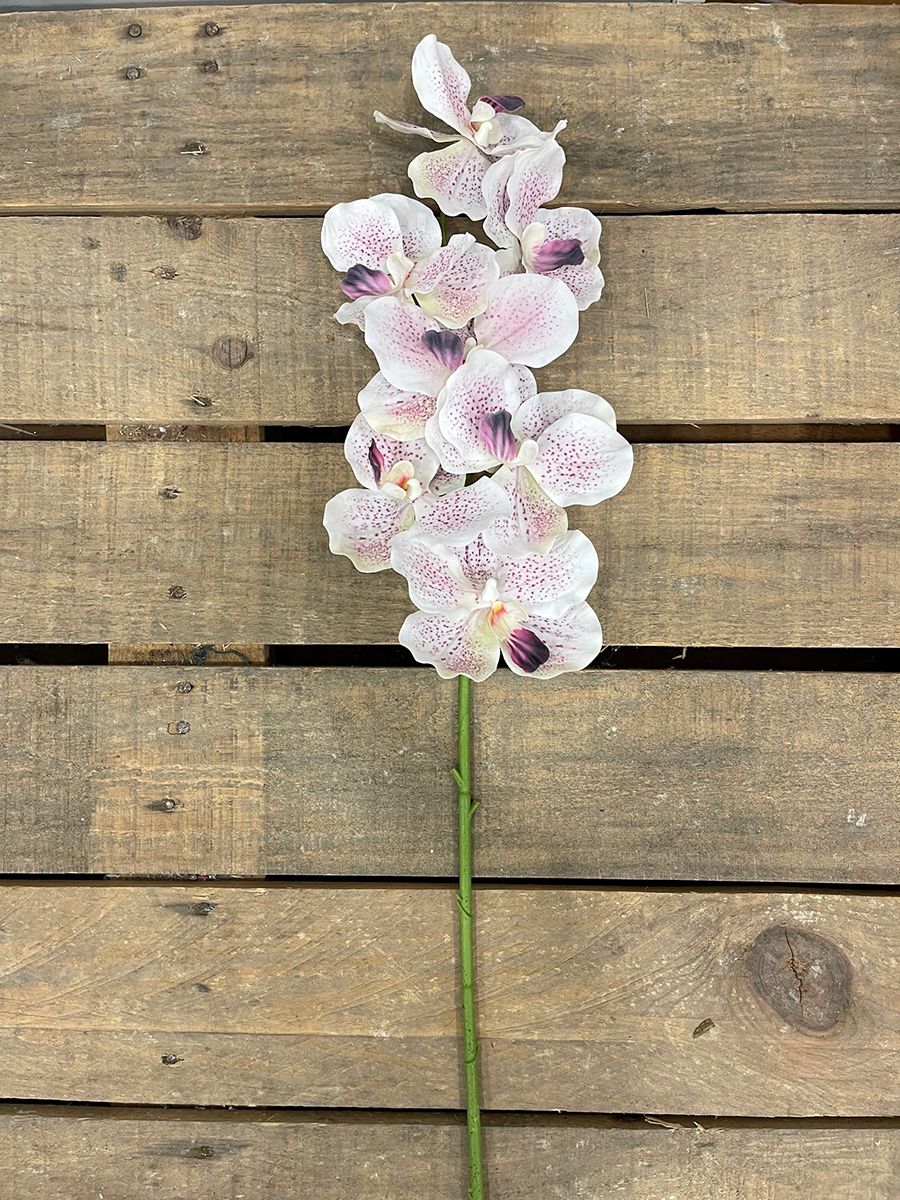 WANDA ORCHID SPRAY REAL TOUCH 80CM. ROSA CH.