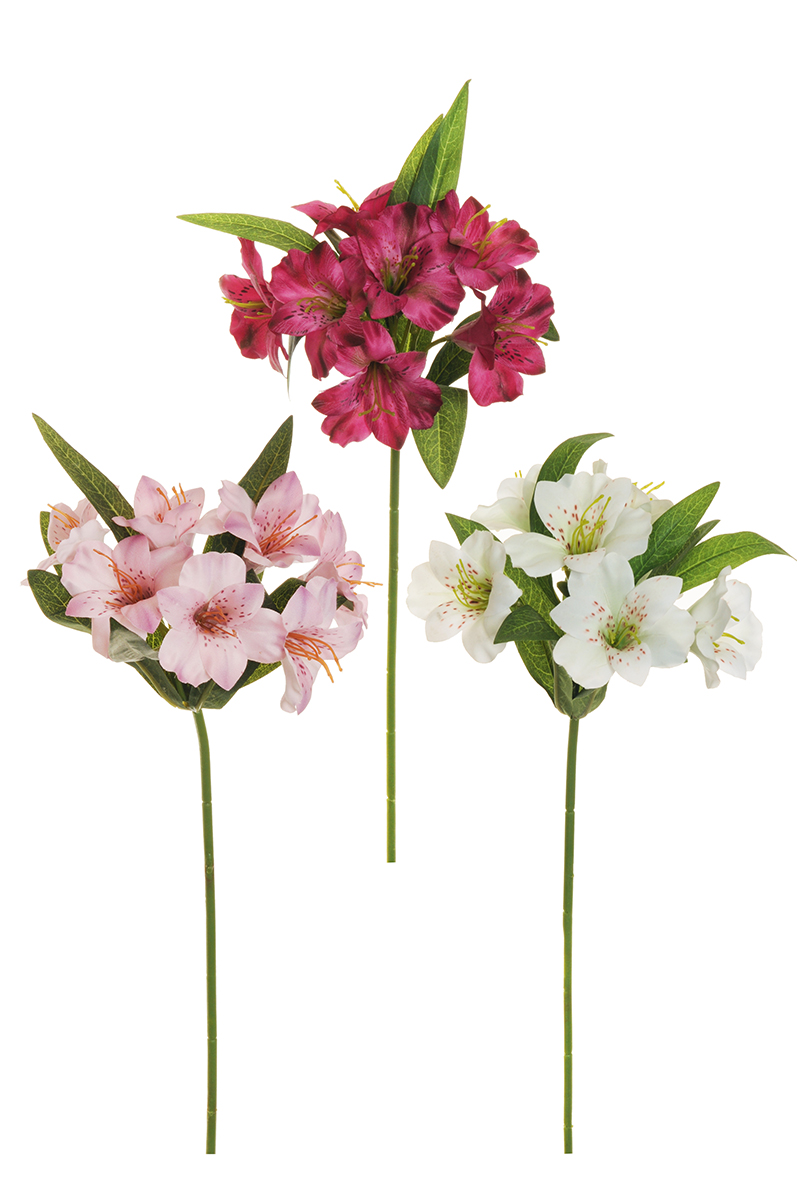 ALSTROEMERIA SPRAY 7FIORI 3PZ.COL.ASS. 48CM.