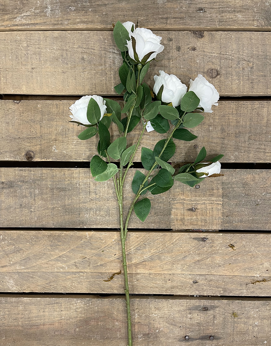 ROSA AUSTIN 4FIORI 2BOCC. 70CM. CREMA