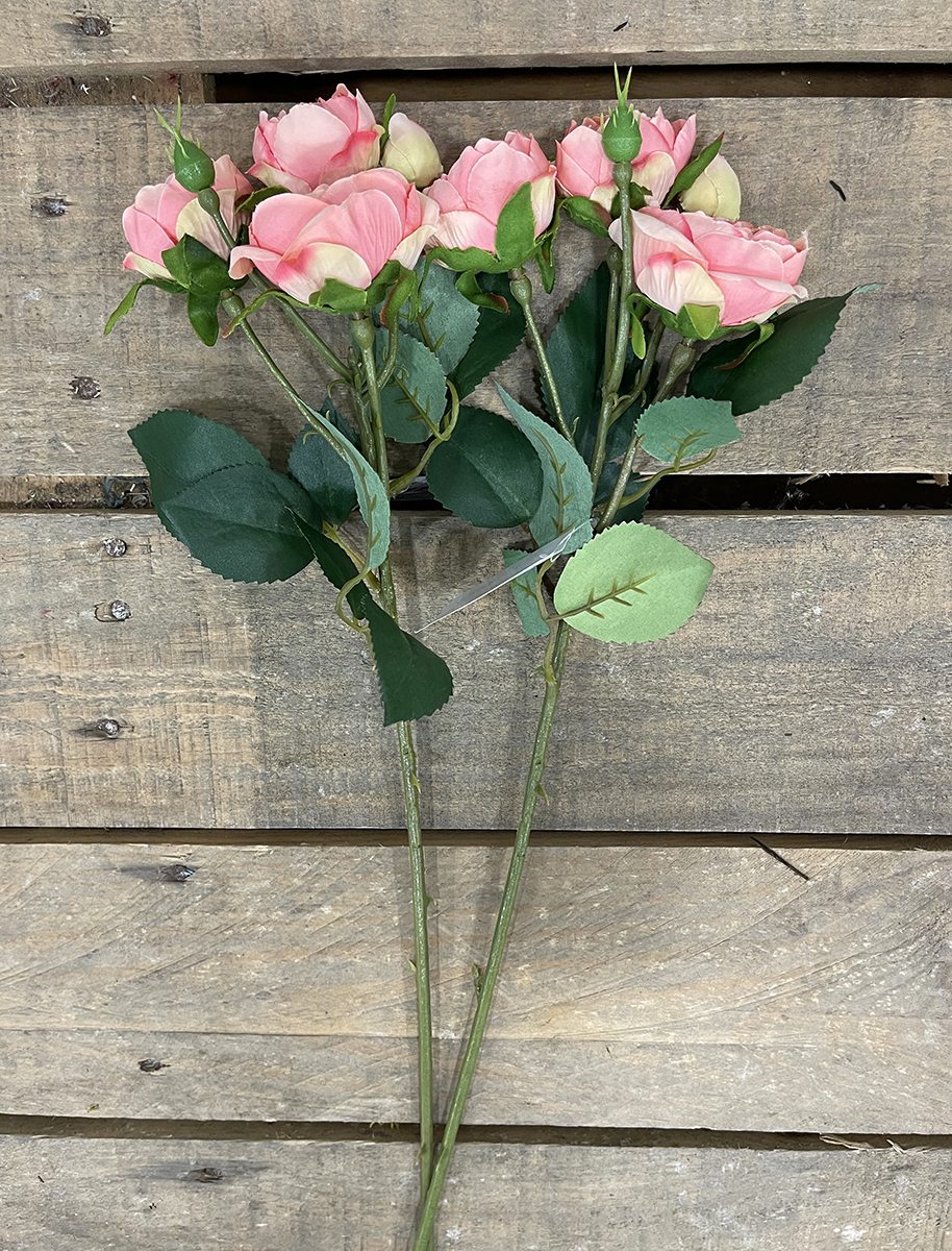 ROSA ENGLISH MINI X4 48CM. 2PEZZI PESCA