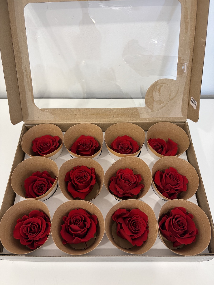 ROSE STABILIZZ.12PZ. RED-02 MRL ---NETTO-------