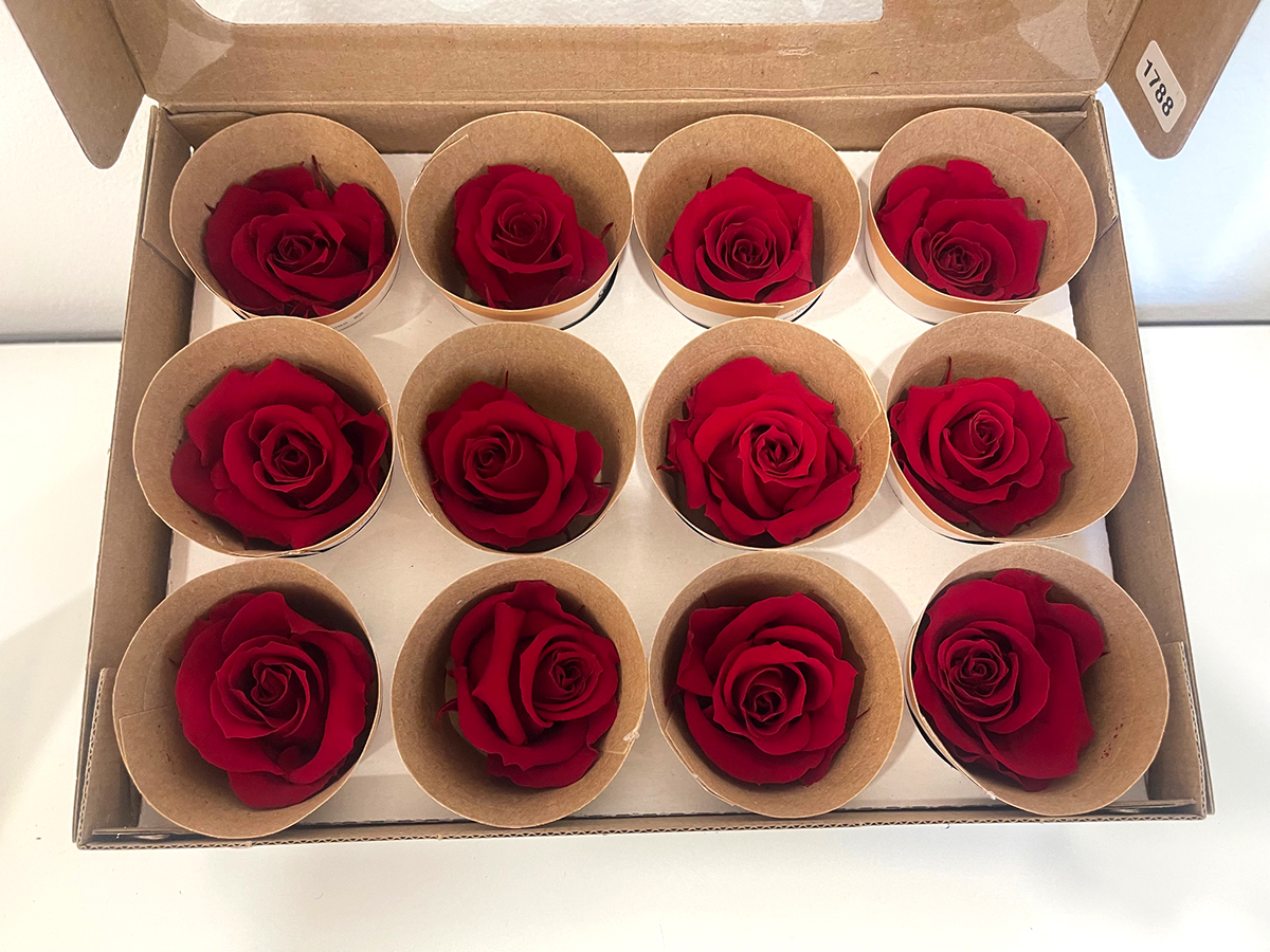 ROSE STABILIZZ.12PZ. RED-01 MRL ---NETTO-------
