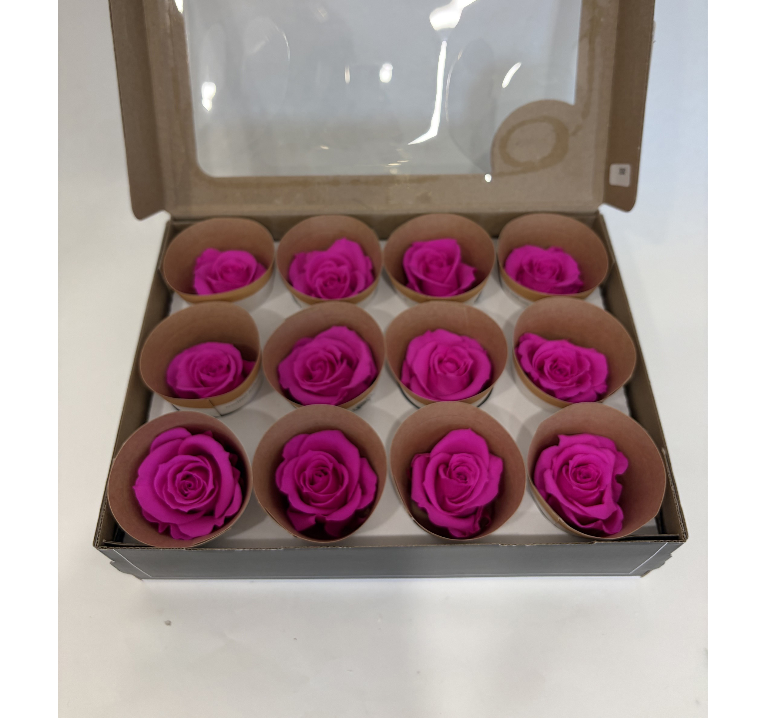 ROSE STABILIZZ.12PZ. PIN-07 MRL ---NETTO-------