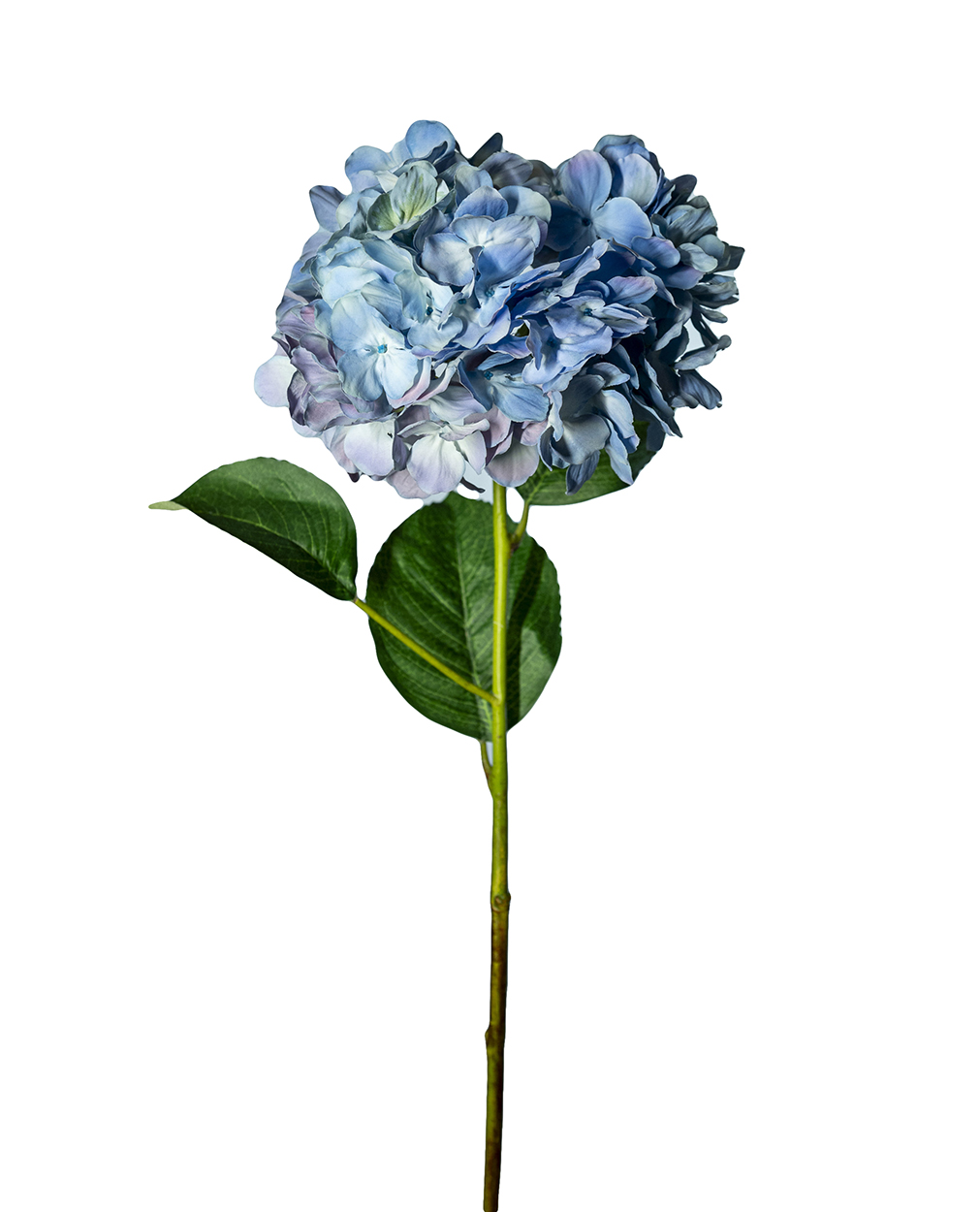 HYDRANGEA SPRAY D25 L75CM. CELESTE ---NETTO---