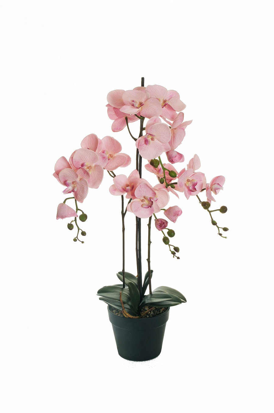 PIANTA PHALAENOP.REAL TOUCH 4RAMI H80CM. LT MAUVE