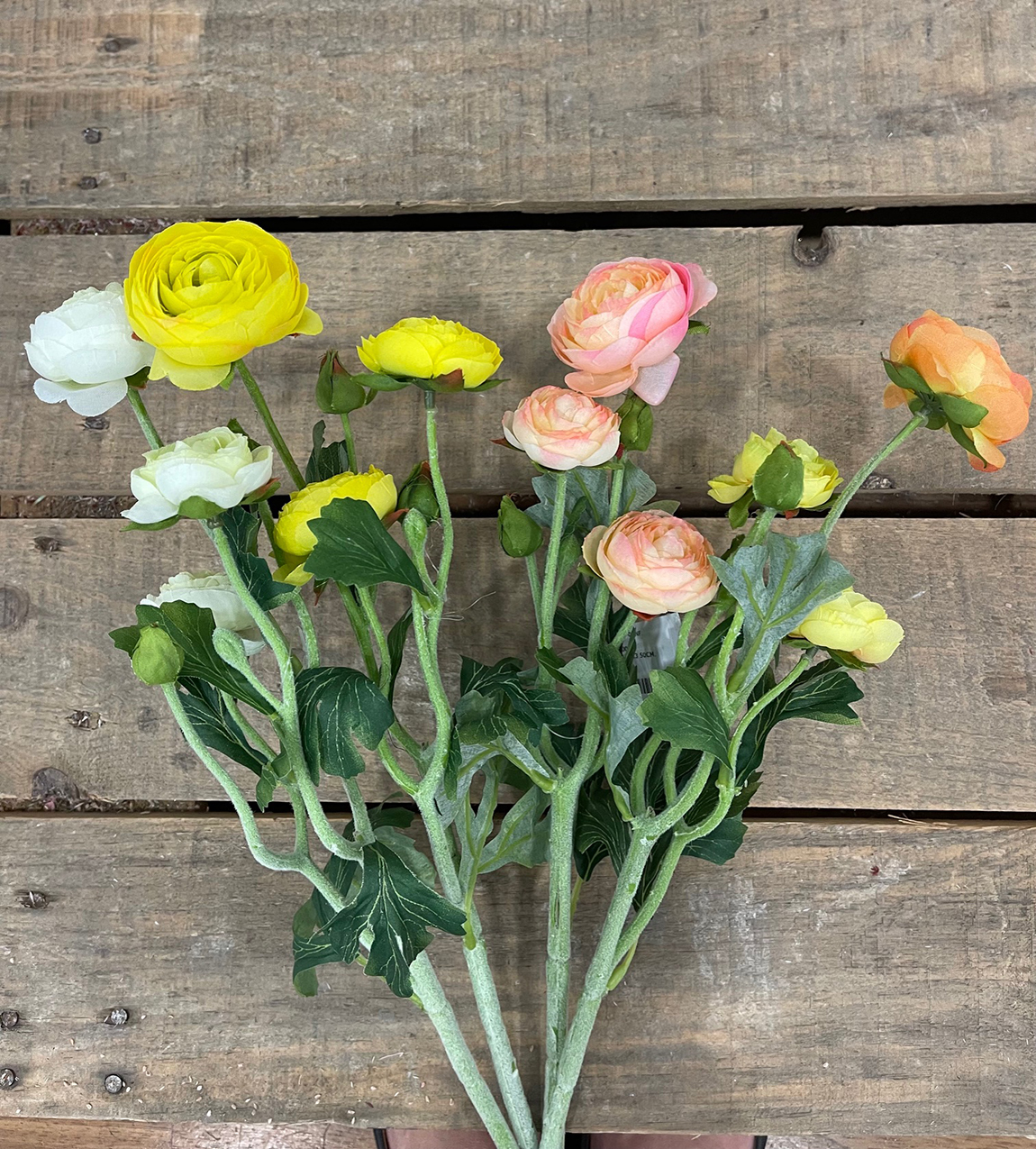 RANUNCULUS X3 50CM. 4PZ.COL.ASS.