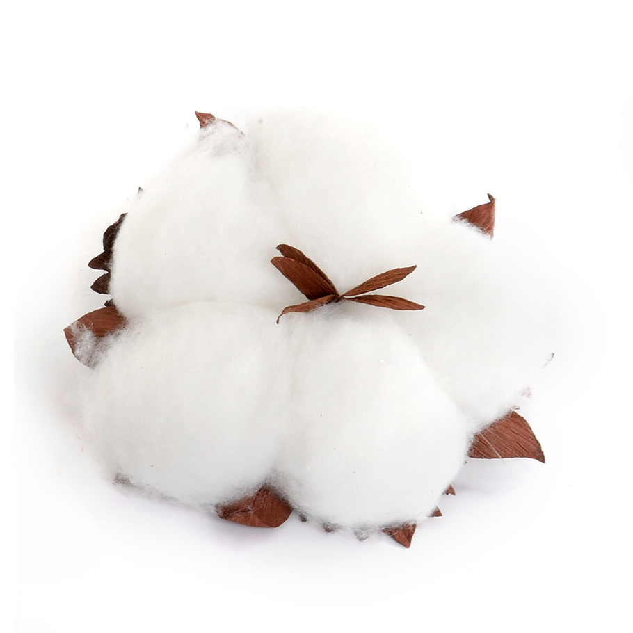 FIORE COTONE DA APP. 28X7 H28CM. BIANCO