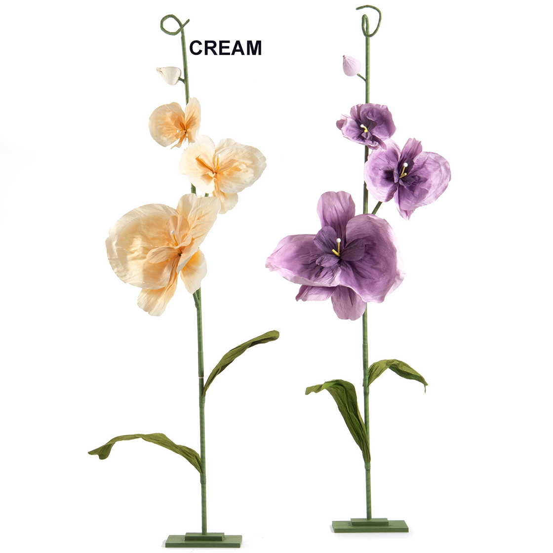 ORCHIDEA GRANDE SU BASE 60X15 H240CM. CREMA