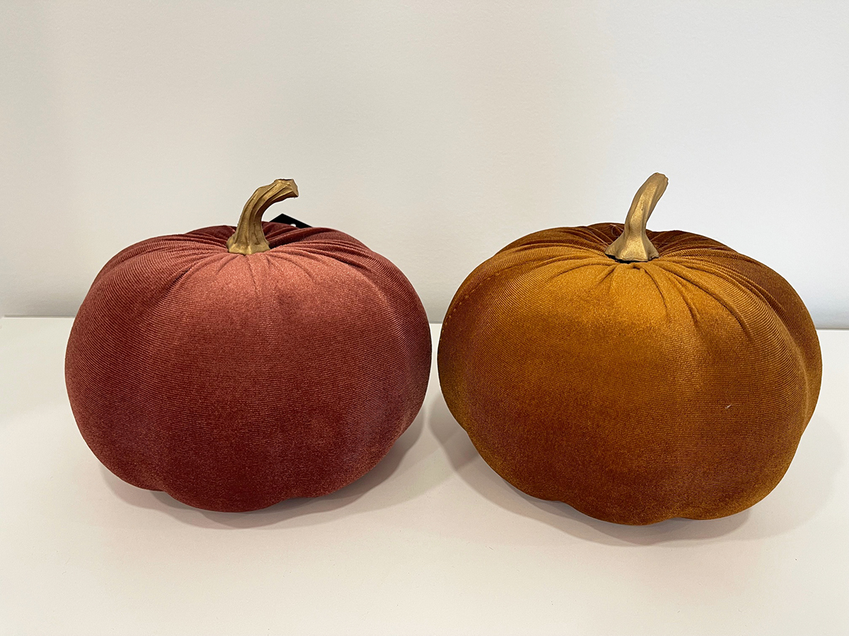 ZUCCHE VELVET D20 H15CM. 2PZ. COL.ASS.