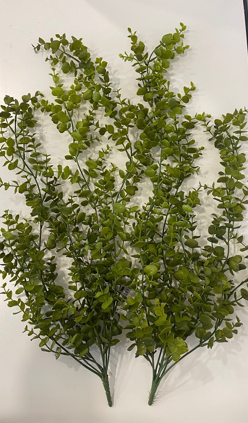 EUCALYPTUS BUSH VINE 80CM. 2PZ. VERDE