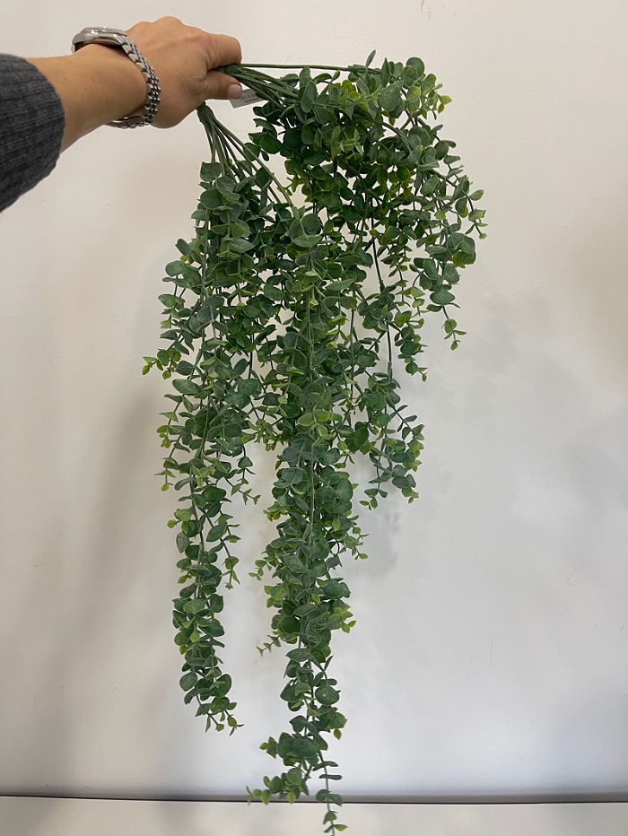 EUCALYPTUS BUSH VINE 80CM. 2PZ. FROSTED