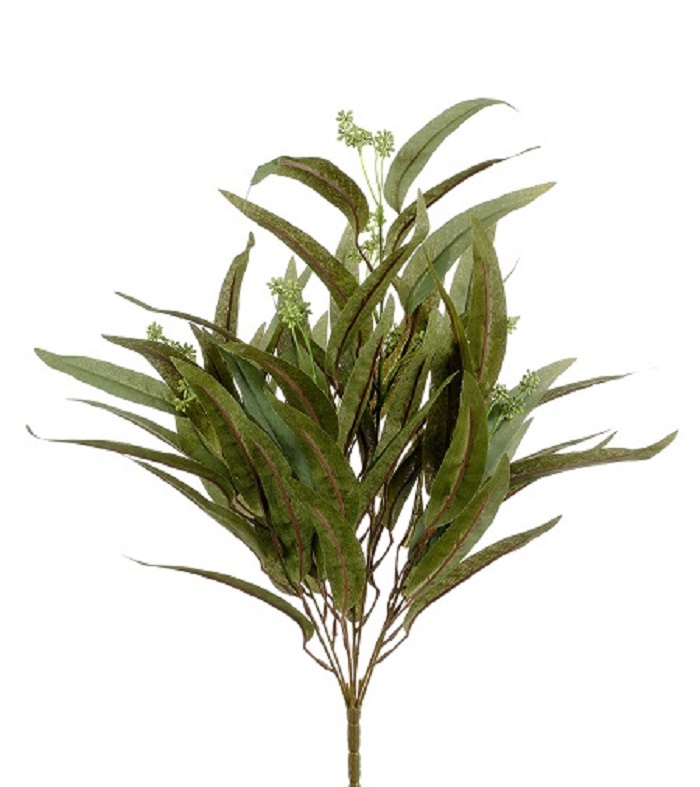 EUCALIPTUS BUSH X7 C/BACCHE 60CM.
