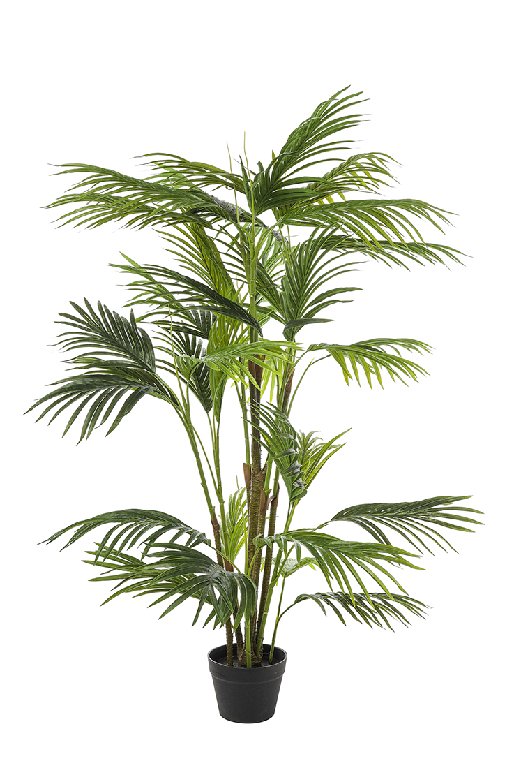PIANTA ARECA H140CM. VERDE