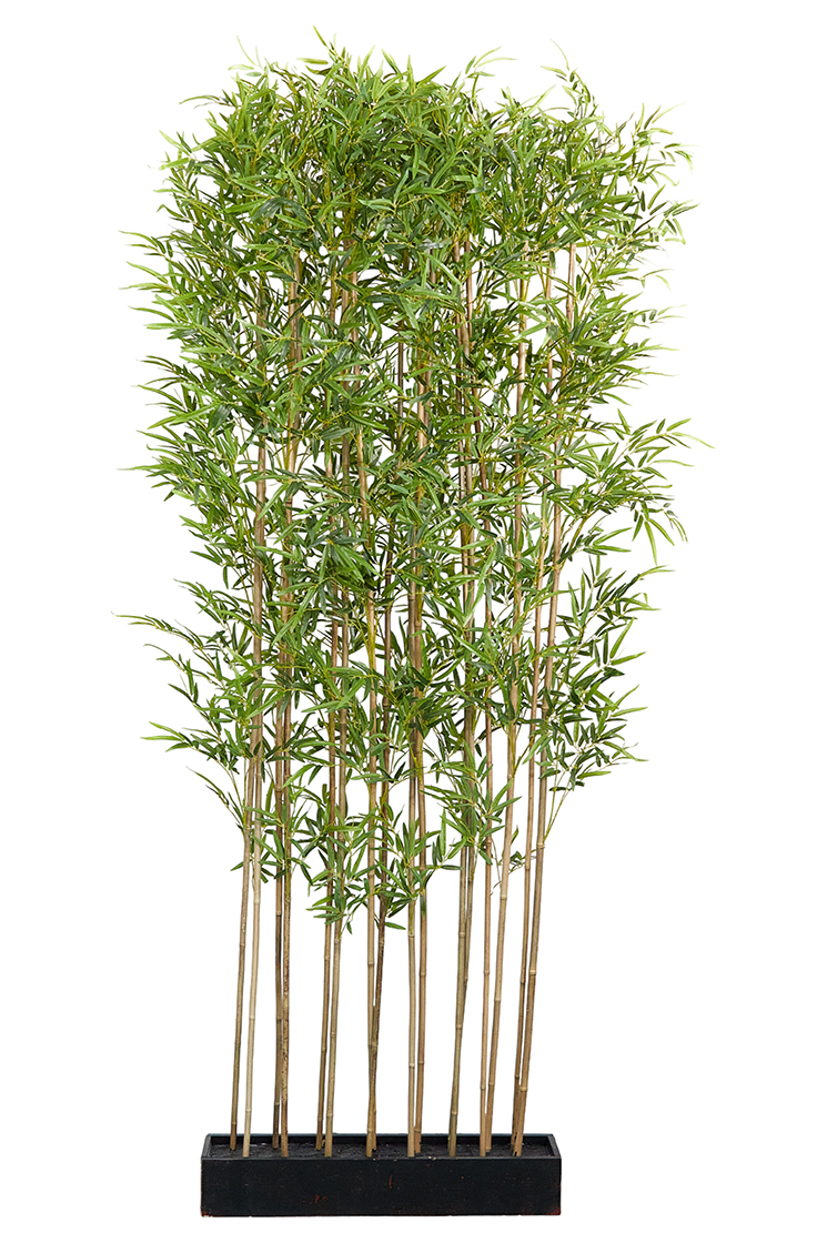 SEPARE' BAMBOO 74X14 H240CM. VERDE