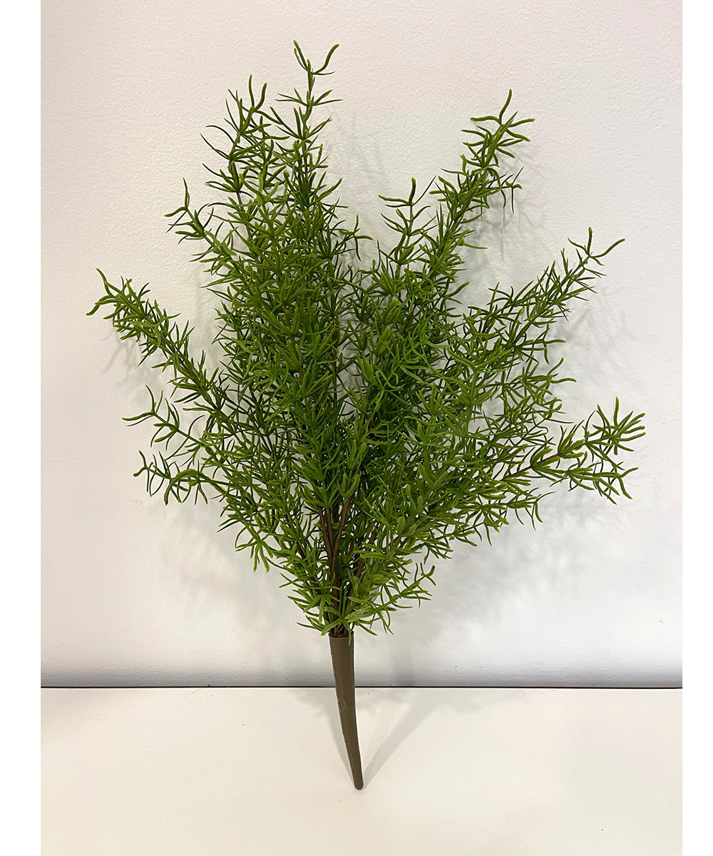 ROSEMARY BUSH SOFT TOUCH 45CM.
