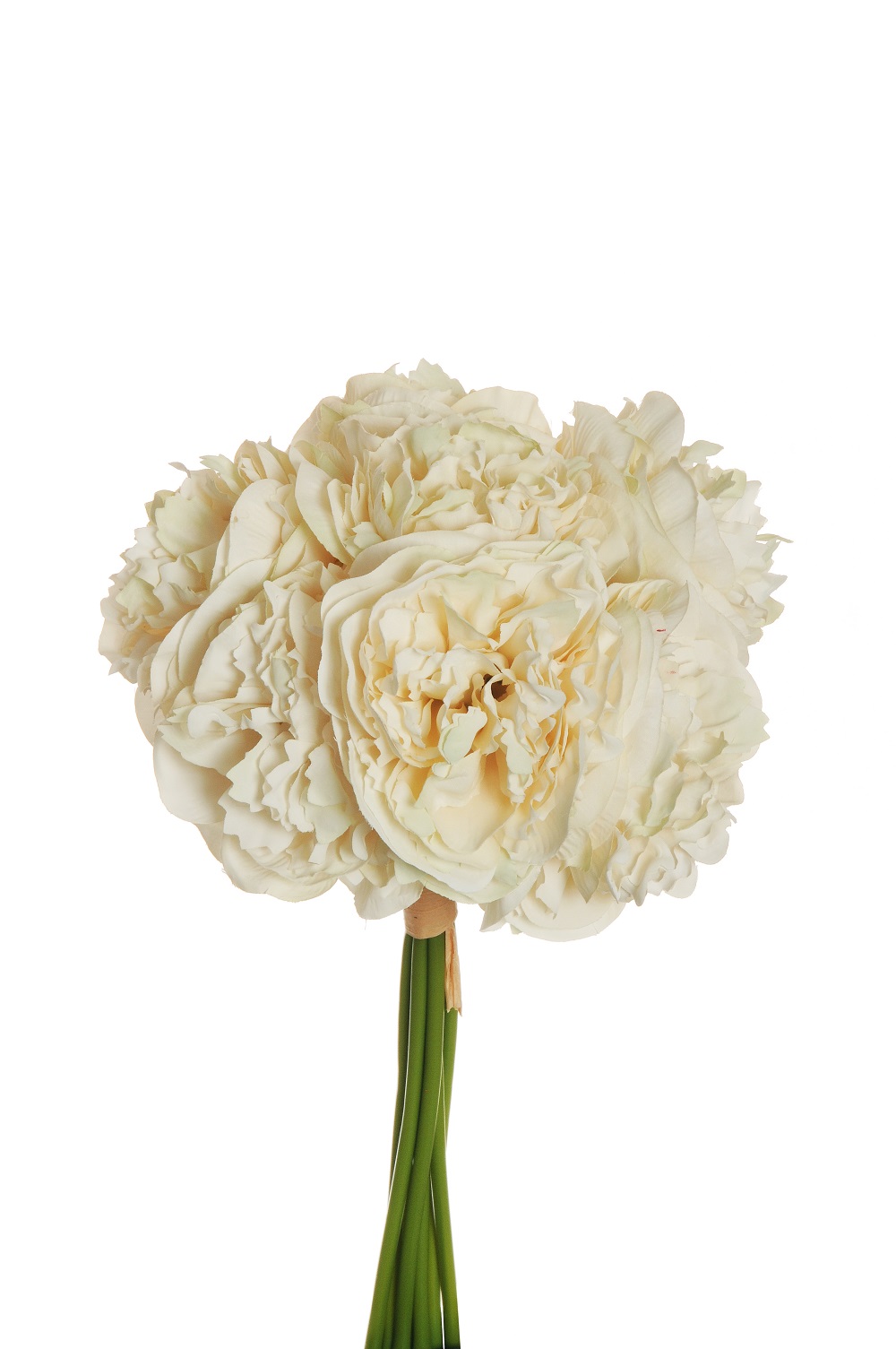 PEONY BUNDLE X7 D9 34CM. IVORY