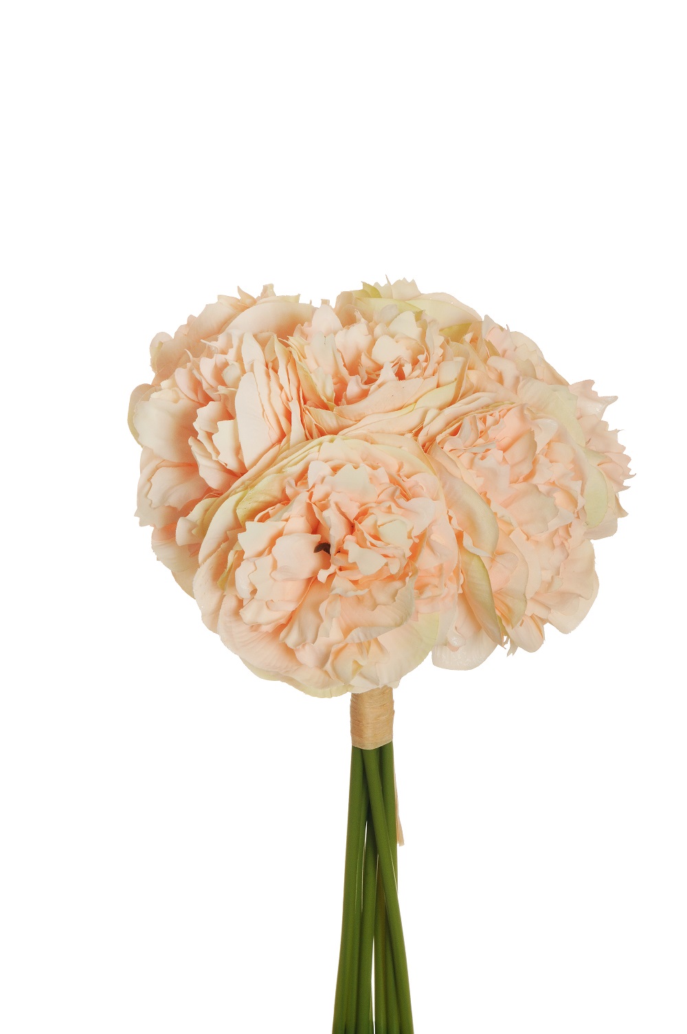 PEONY BUNDLE X7 D9 34CM. TT SALMON