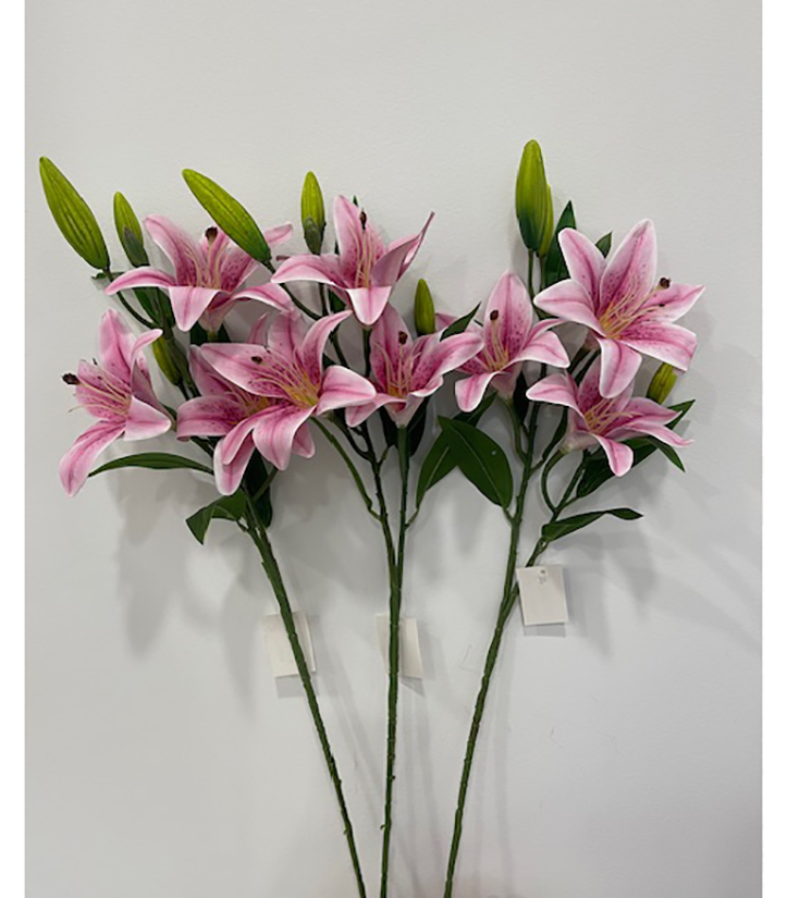 LILIUM TIGER C/3FIORI E 3BOCC.80CM. 3PZ. MAUVE