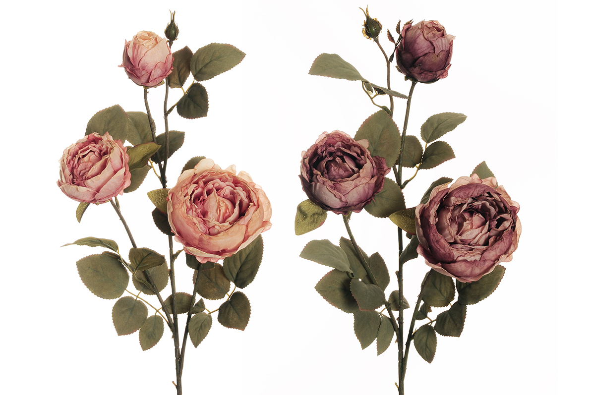 AUSTIN ROSE SPRAY X3 78CM. 2PZ. ROSA ANT. +LILLA