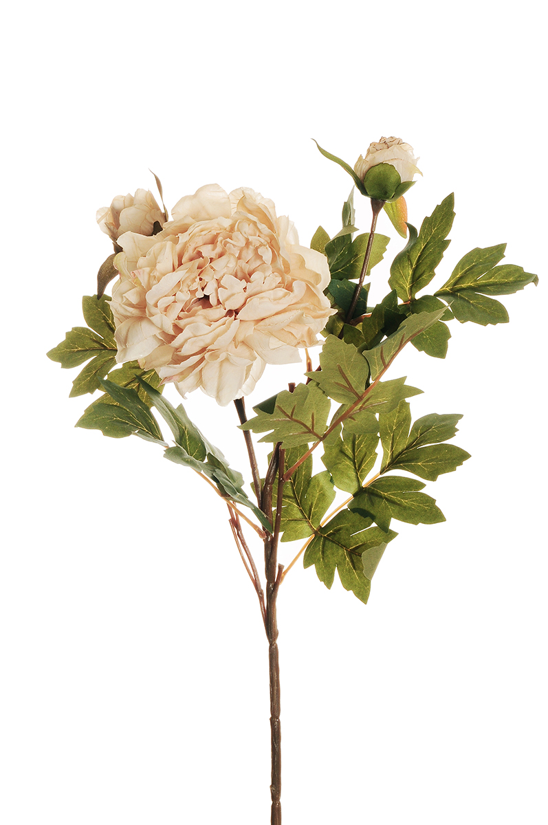 PEONY SPRAY X2 64CM. 2PZ. CREMA