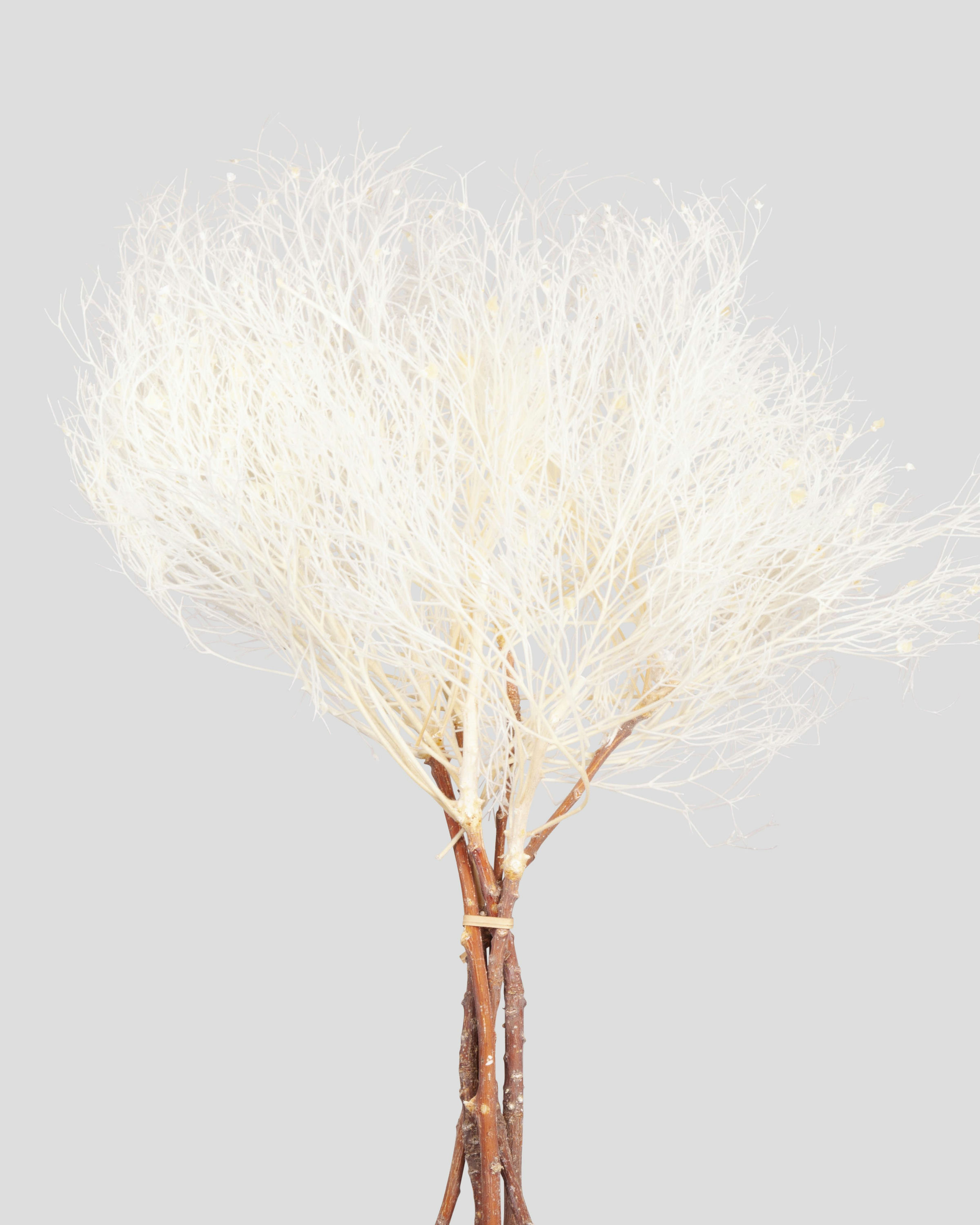 DREAM GRASS L70CM. WHITE