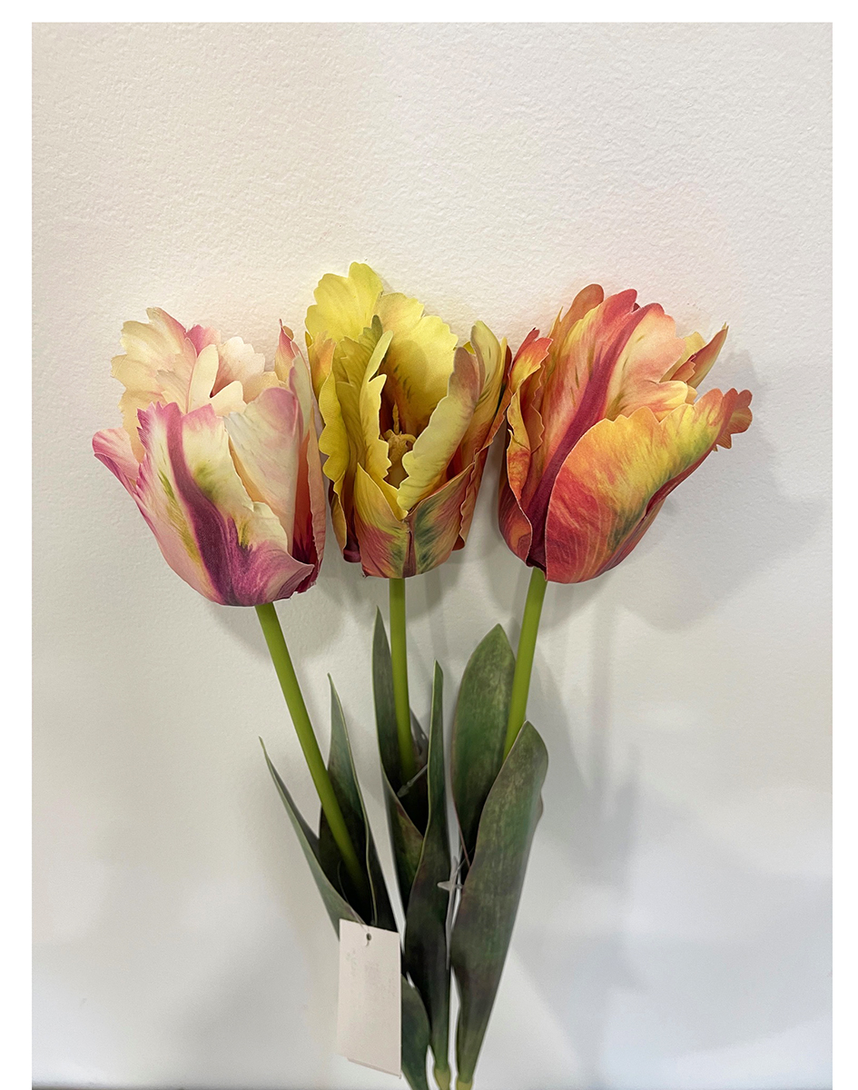 TULIPANO AUTUN. 70CM. 3PZ.COL.ASS.
