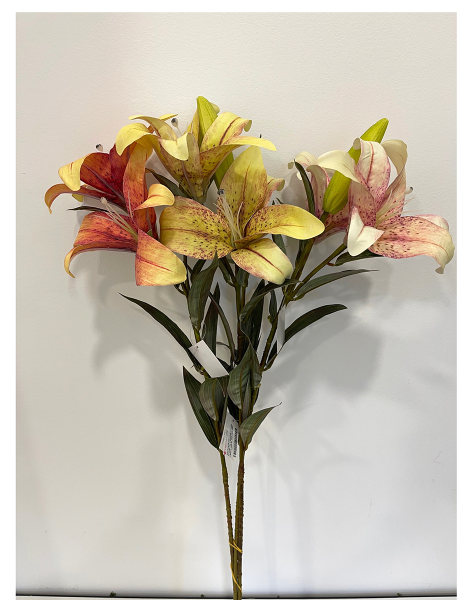 TIGER LILY AUTUN.2FIORI 1BOCC.90CM. 3PZ.ASS.