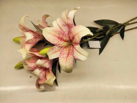 TIGER LILY 2FIORI 1BOCC. 90CM.3PZ. CREAM/PINK