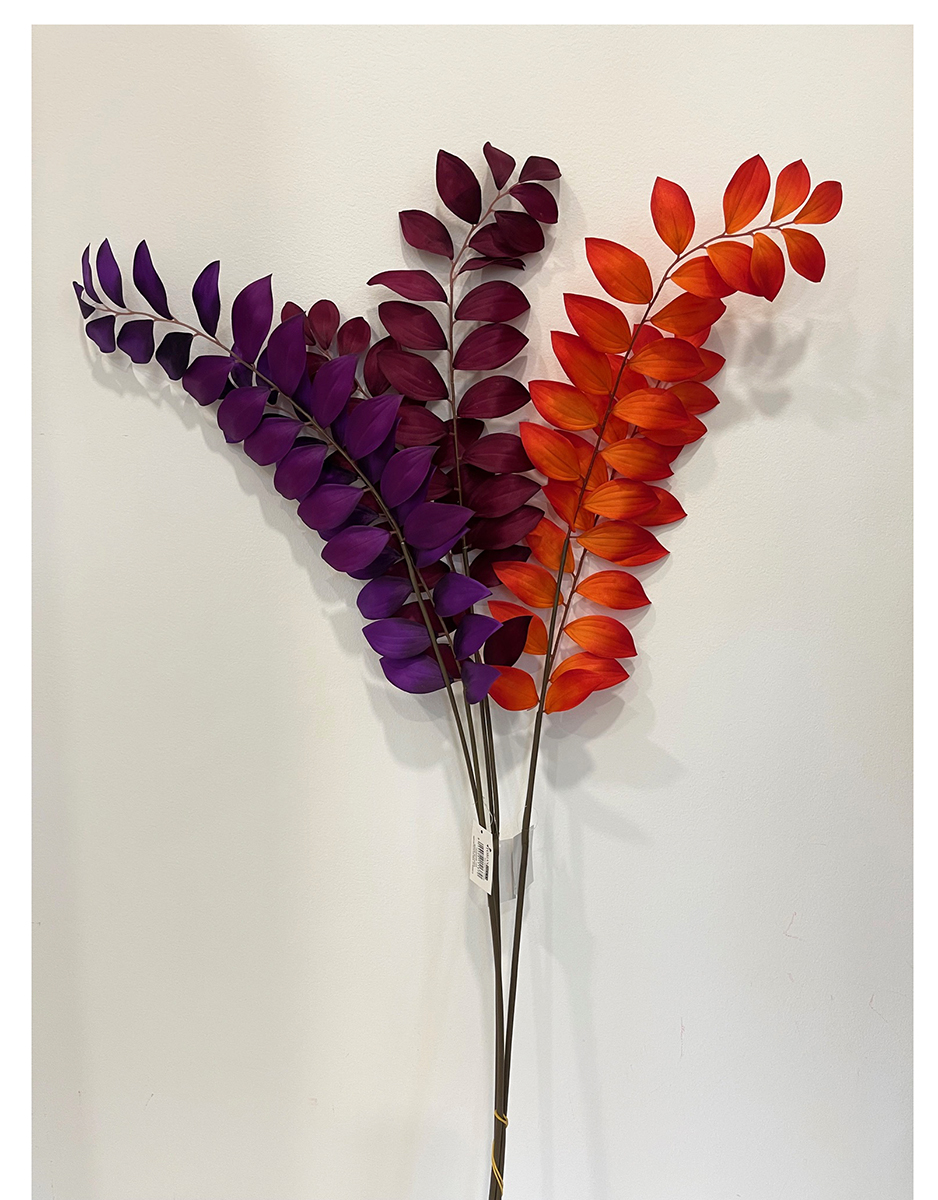 ZAMIA RAMO X2 110CM. 3PZ.COL.ASS.