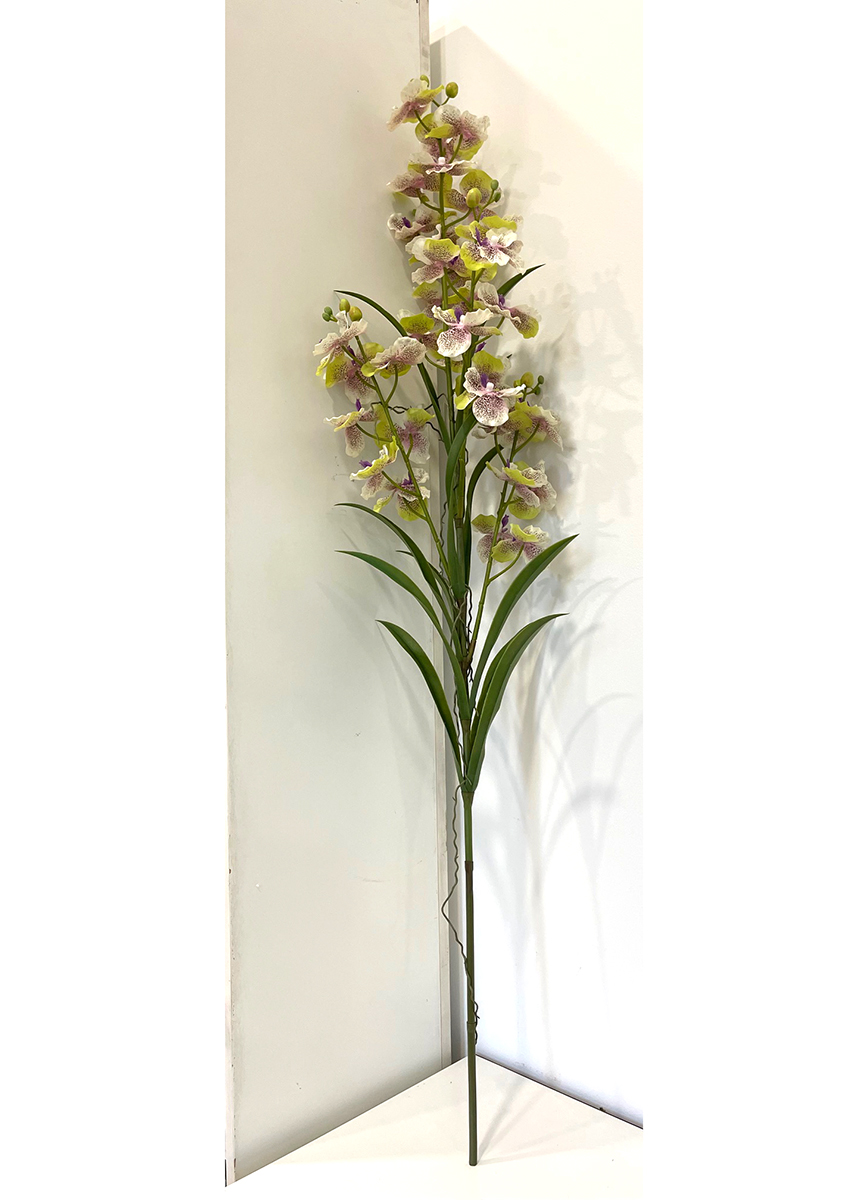 WANDA SPRAY X5 130CM. GREEN PURPLE