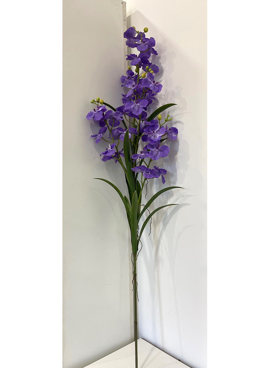 WANDA SPRAY X5 130CM. PURPLE