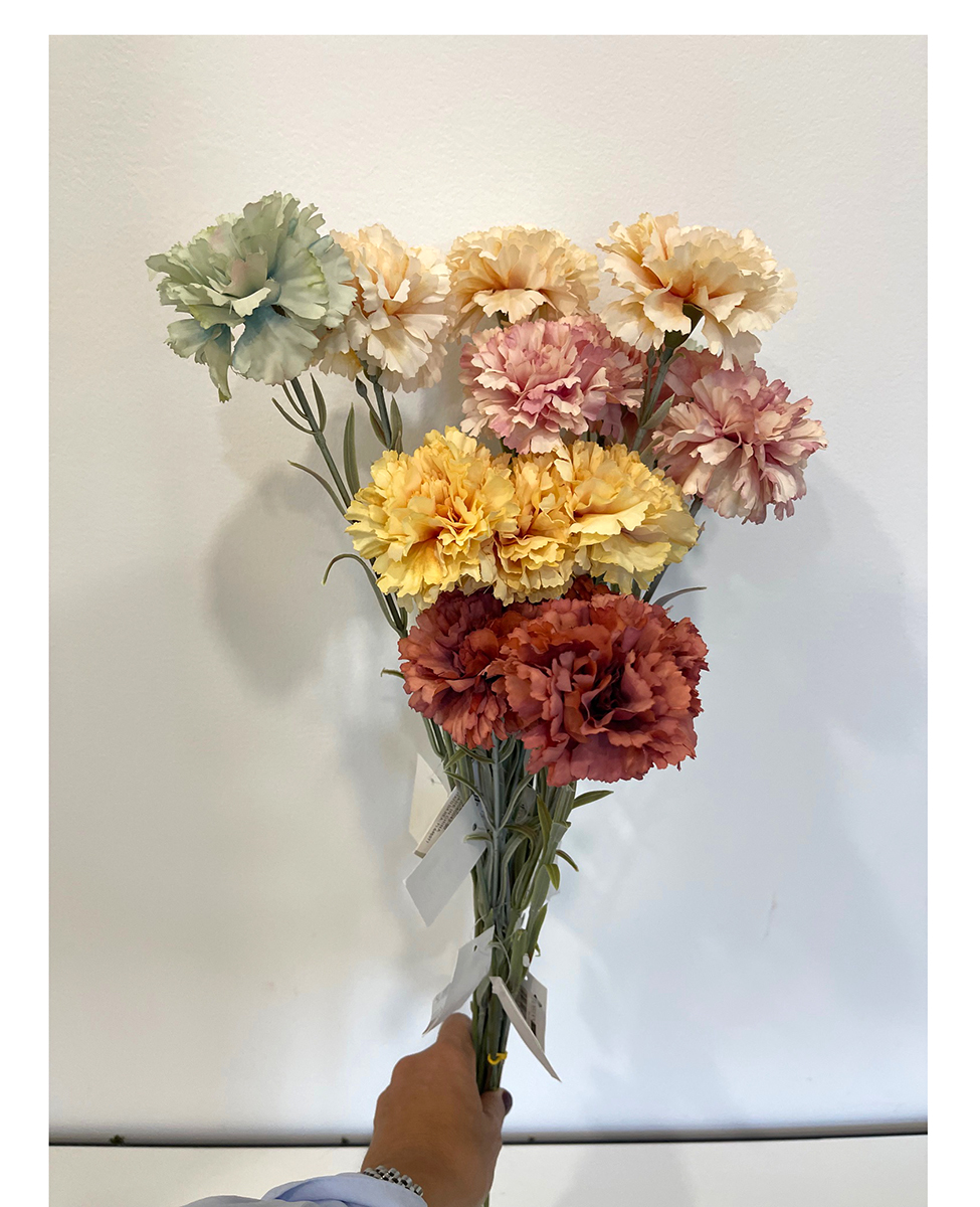 GAROFANI AUTUMN 55CM. 15PZ. 5COL.ASS.