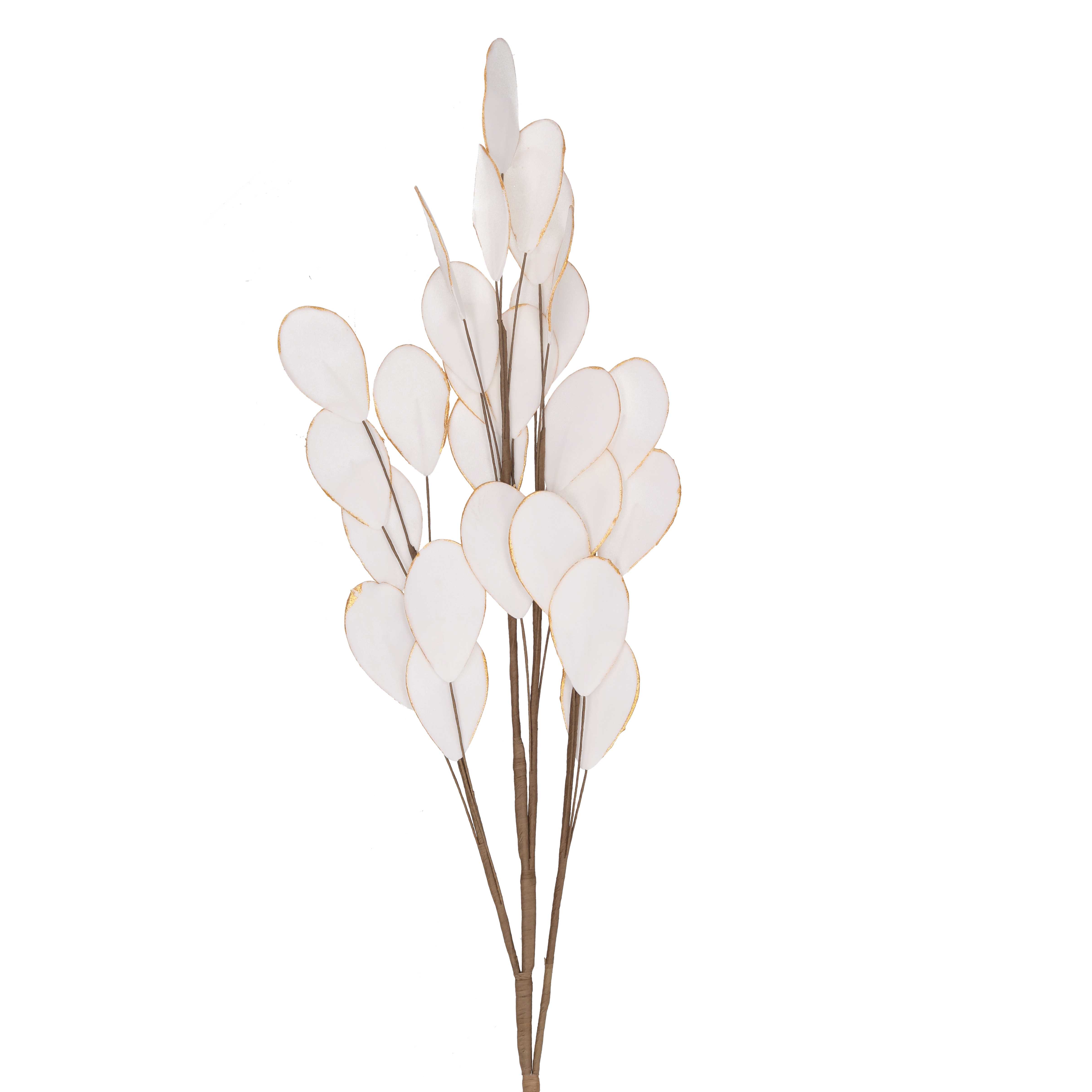 RAMO DOLLAR FOAM 111CM. BIANCO ORO