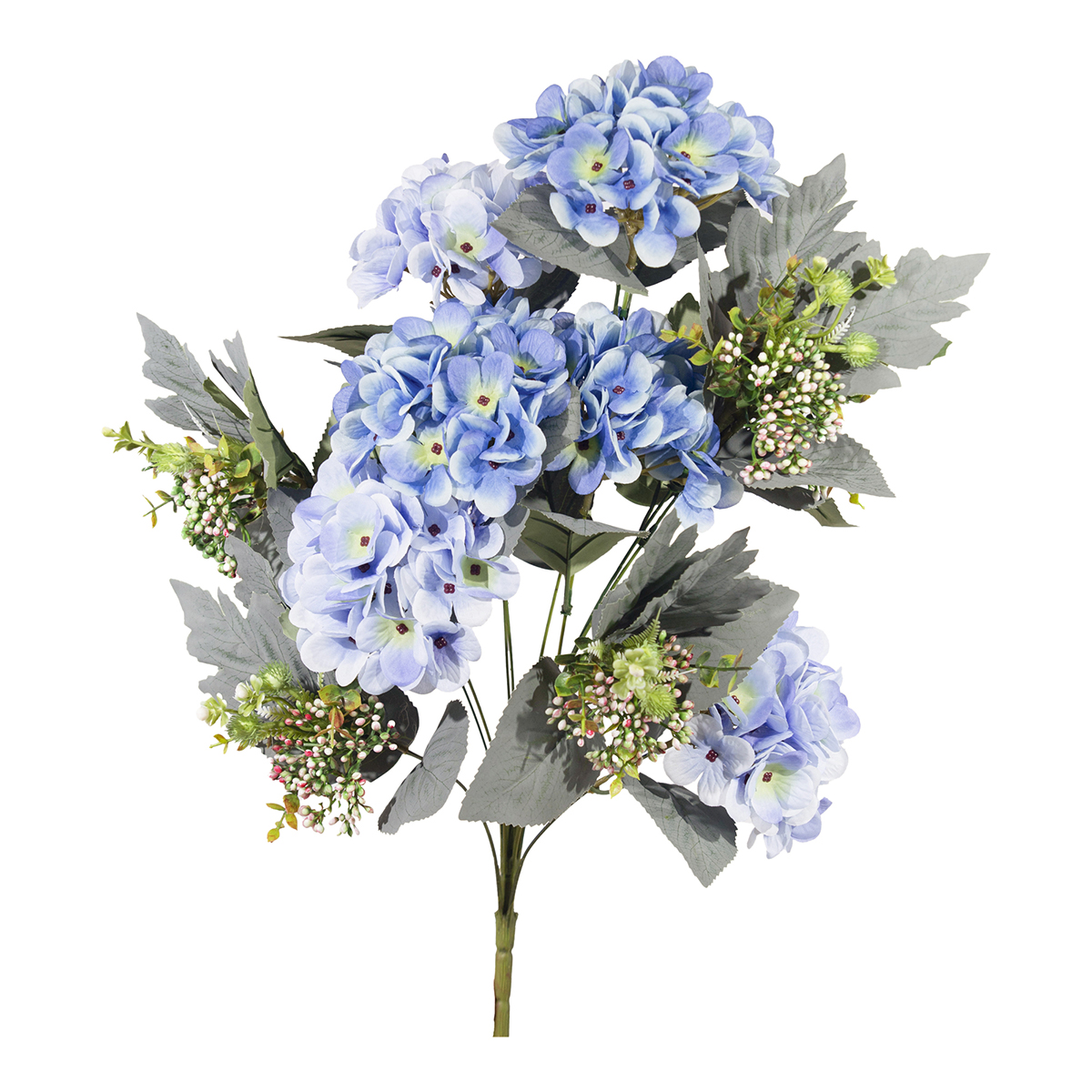 BUSH HYDRANGEA 60CM. AZZURRO