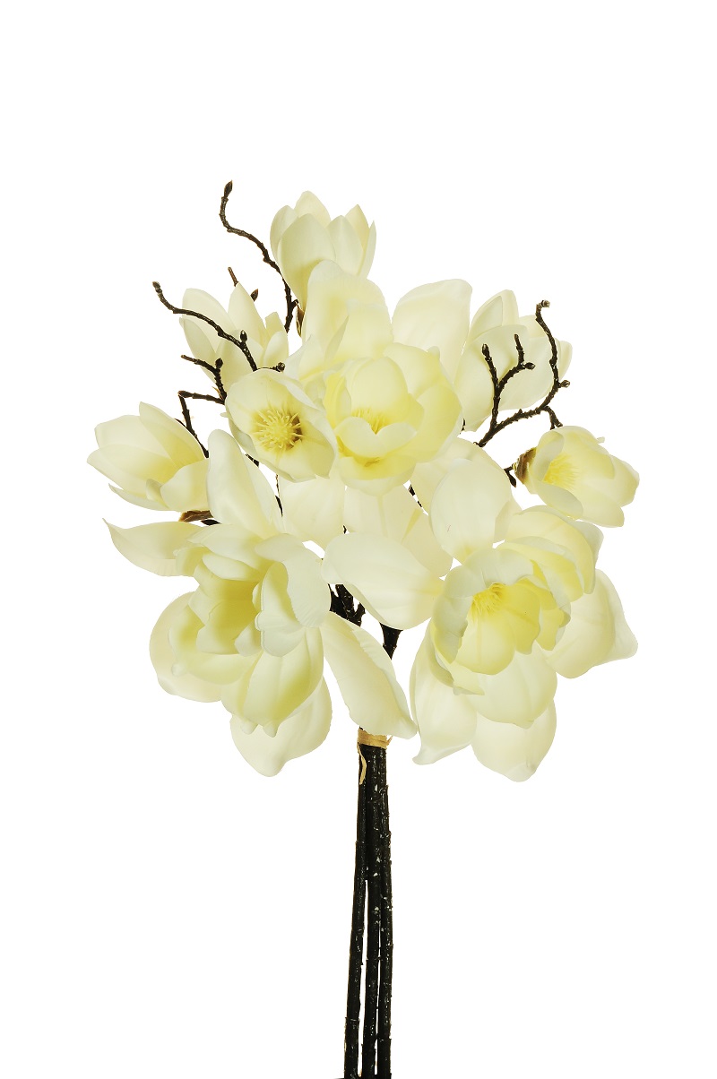 MAGNOLIA BUNDLE X3 48CM. CREMA