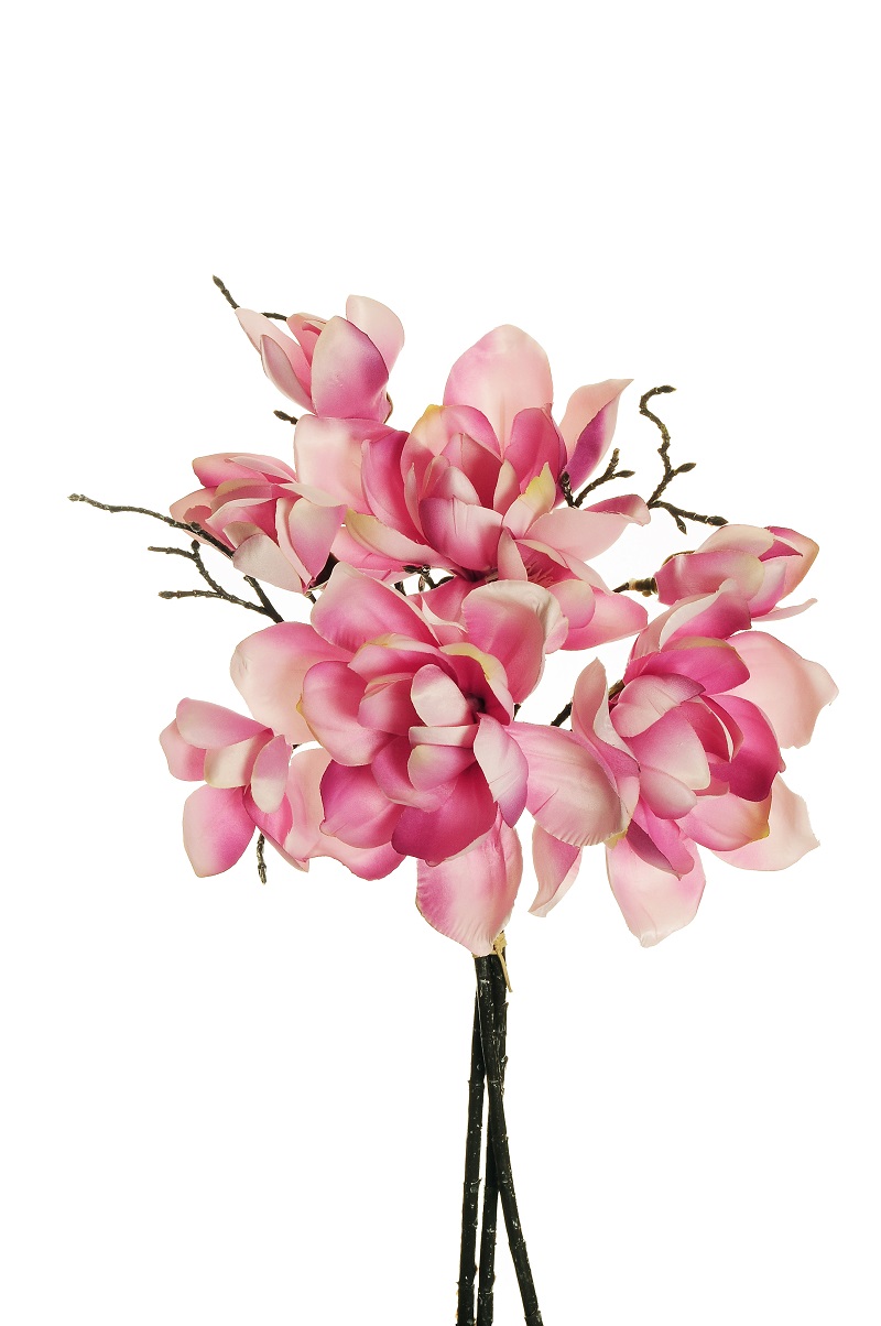 MAGNOLIA BUNDLE X3 48CM. ROSA