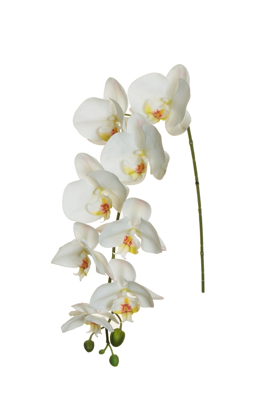 PHALAENOPSIS HANG. REAL TOUCH 94CM. BIANCO