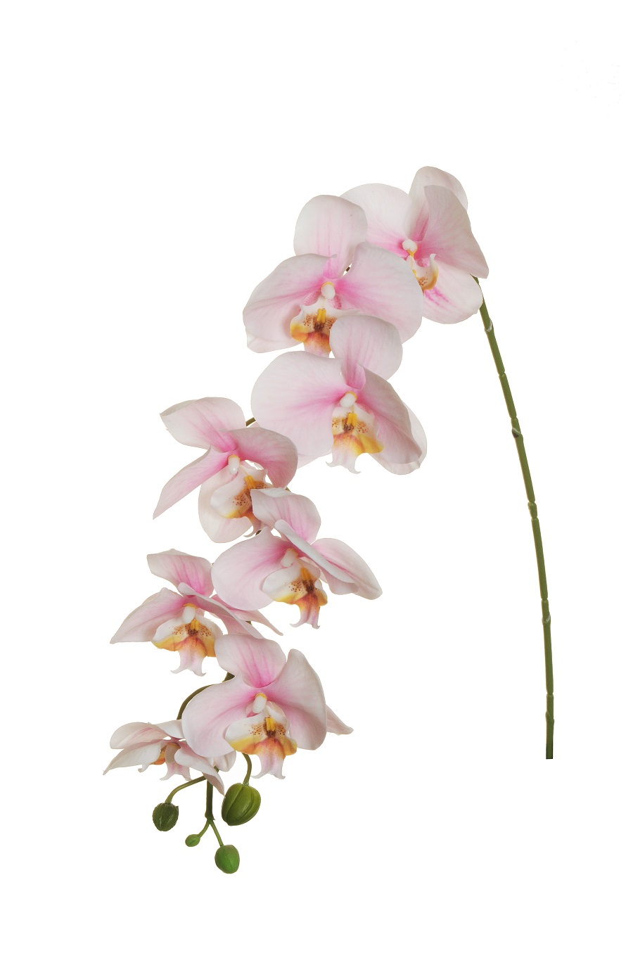 PHALAENOPSIS HANG. REAL TOUCH 94CM. ROSA CH.