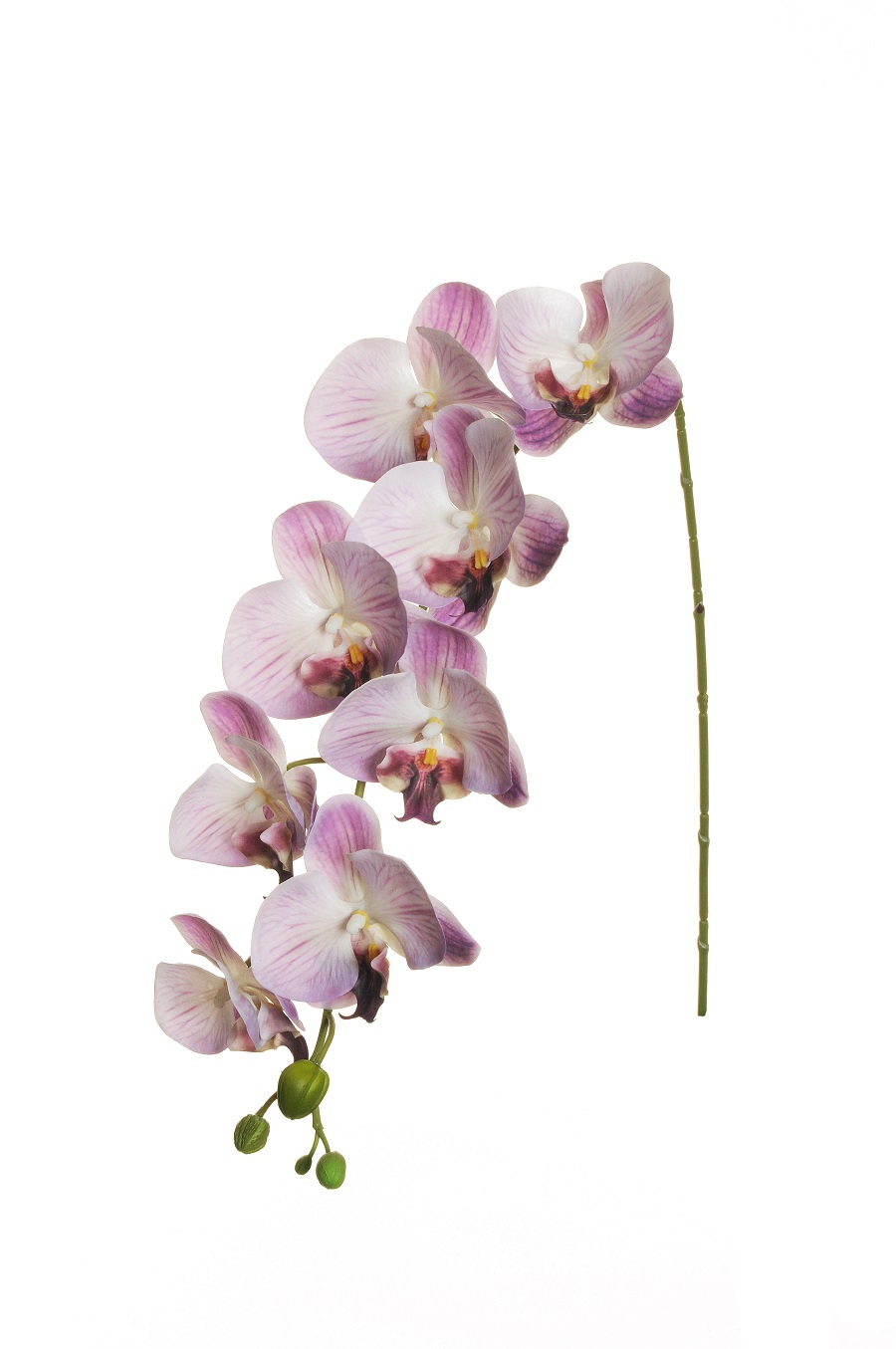PHALAENOPSIS HANG. REAL TOUCH 94CM. LILLA